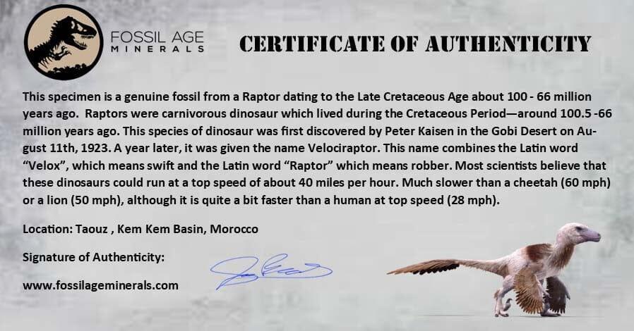 Stone Age Raptor 0.6