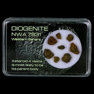 Diogenite Meteorites Asteroid 4 Vesta Specimen NMW 7831 Western Sahara Free Display Free Shipping