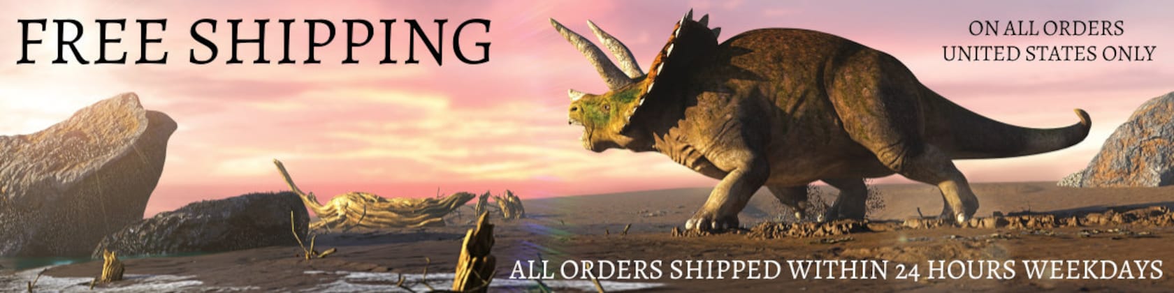 FossilAgeMinerals - Etsy 日本