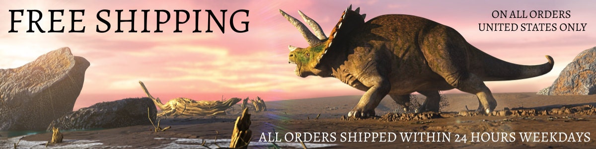 FossilAgeMinerals - Etsy 日本