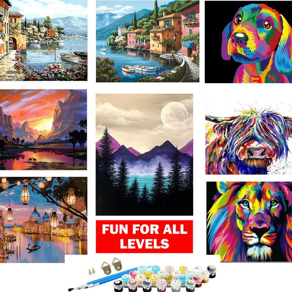 Paint by Number Kit for Adults Etsy UK