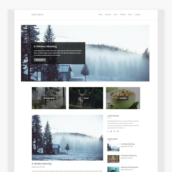 Instinct - WordPress Blog & Portfolio Theme