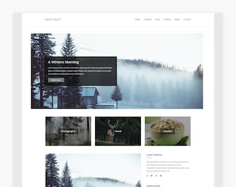 Instinto - Tema de WordPress para blogs y portafolios