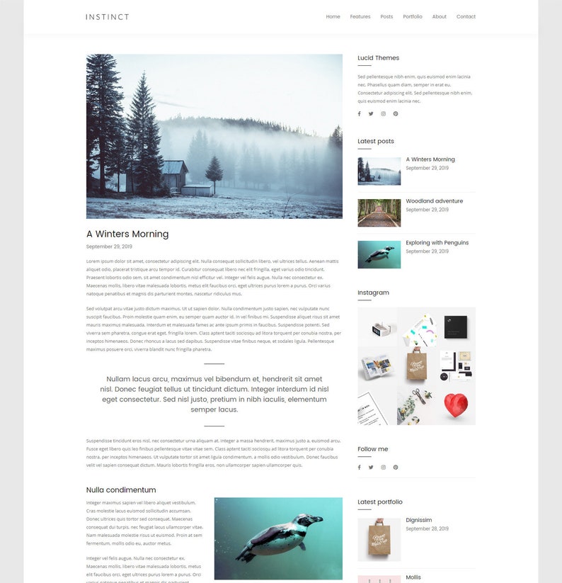 Instinct WordPress Blog & Portfolio Theme image 2