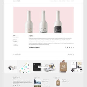 Instinct WordPress Blog & Portfolio Theme image 4