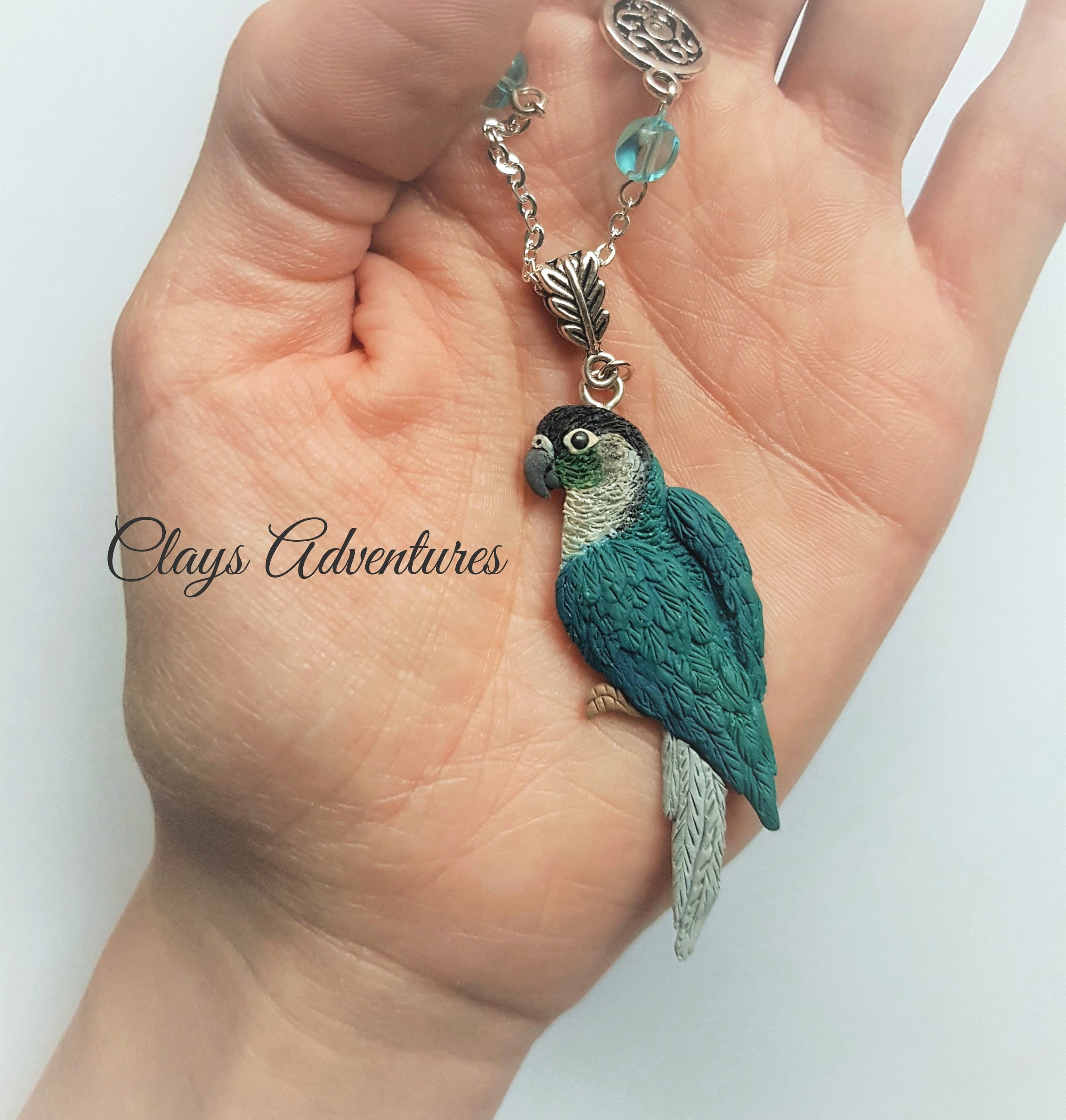 Turquoise conure clearance