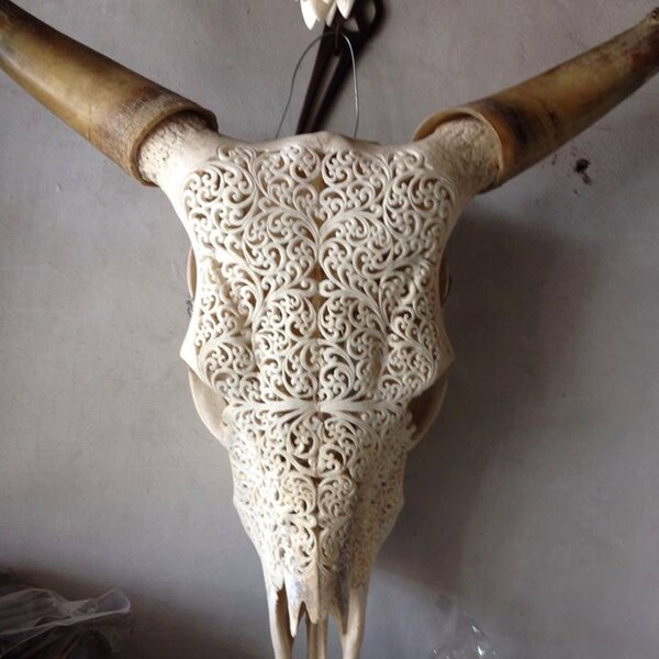 Unique carved cow skull