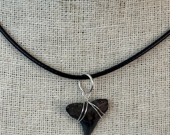JAWSome Bull Shark Tooth Faux Leather Necklace