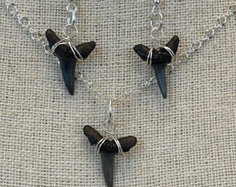 Sand Tiger Shark Tooth Set (Necklace & Earrings)