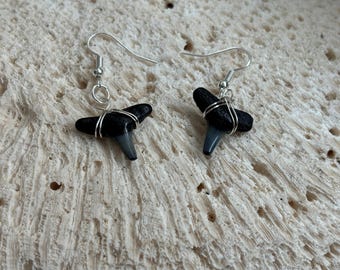 Lemon Shark Tooth Earrings