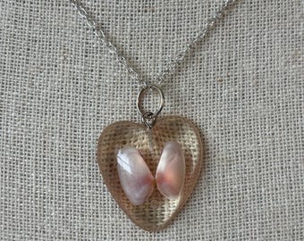 Shades of Pink Coquina Clam Shell Necklace
