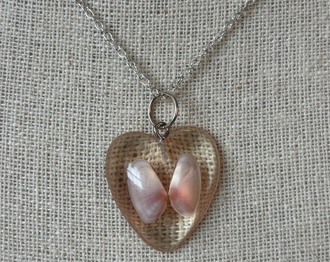 Shades of Pink Coquina Clam Shell Necklace