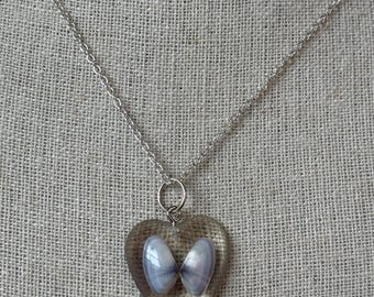 Shades of Blue Coquina Clam Shell Necklace