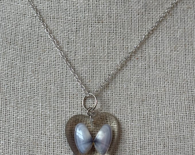 Shades of Blue Coquina Clam Shell Necklace