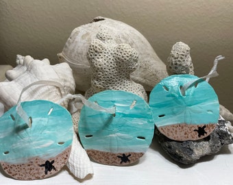 Real Sand Dollar Ornaments