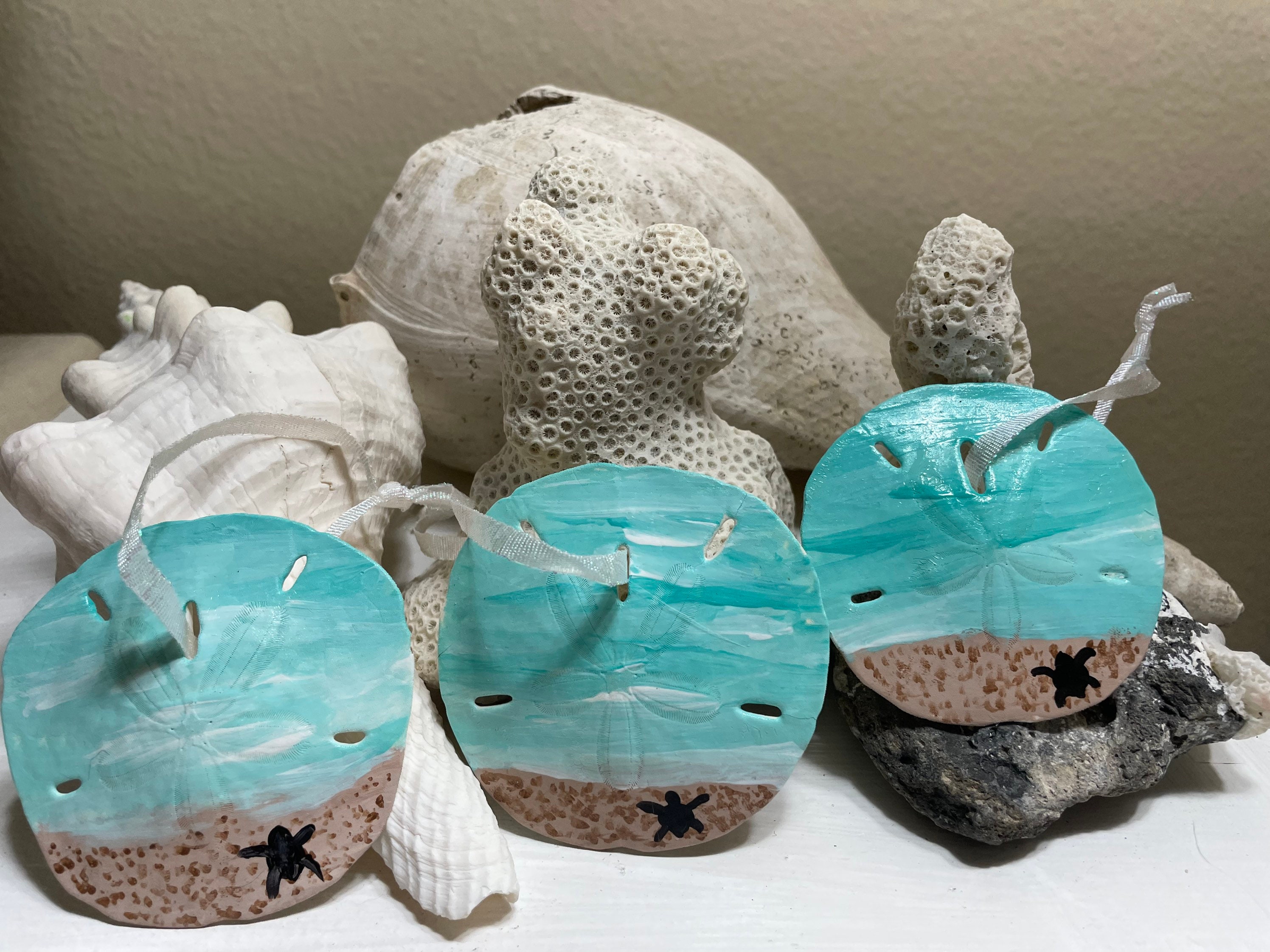 Real Sand Dollar Ornaments