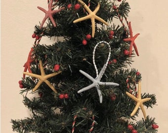 Starfish Christmas Ornament