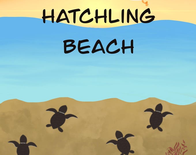 Hatchling Beach