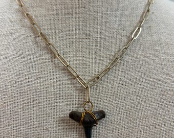 Lemon Shark Tooth Necklace