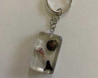 Resin Seashell & Shark Tooth Keychain