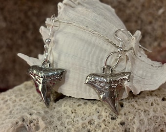Shark Tooth Charm Earrings