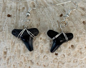 Lemon Shark Tooth Earrings