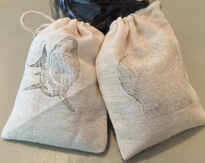 Bag of Beach Fossils!