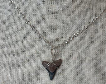 Bull Shark Tooth Necklace