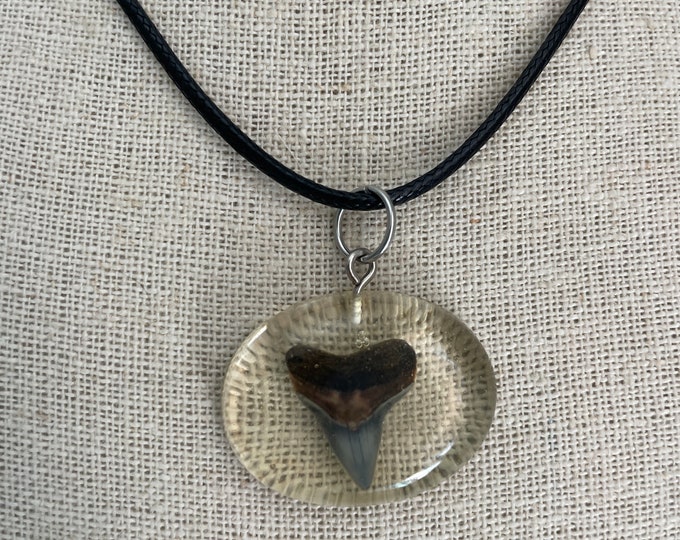 Big Bite Shark Tooth Necklace