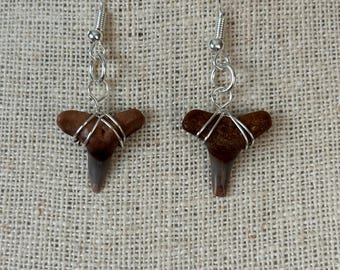 Lemon Shark Tooth Earrings