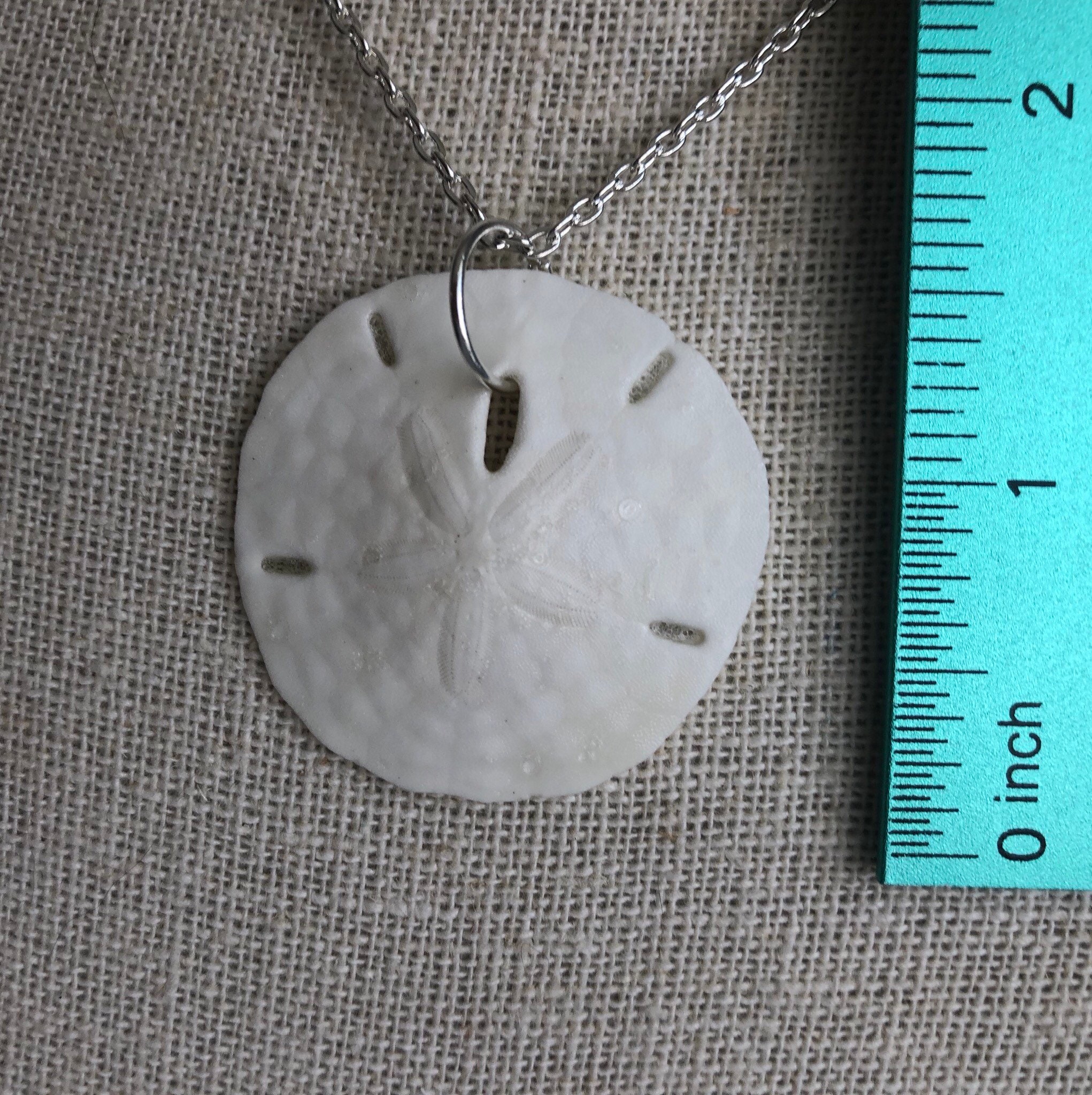 Real Sand Dollar Necklace