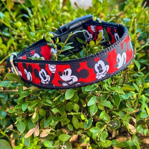 Leash/Collar Combo, Summer Mickey, Summer Disney, Dog Accessories, Durable Dog Leash, Dog Lead, Ribbon Dog Collar, Disney Dog, Boy Dog