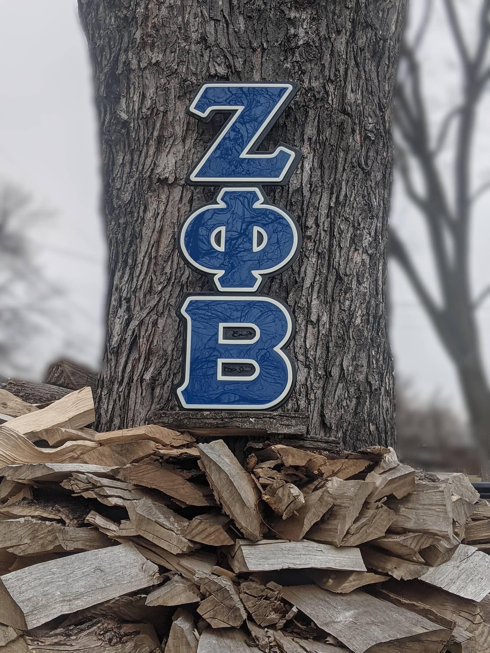 Zeta Phi Beta LED Wooden Paddle