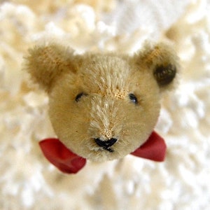 vintage Steiff bear brooch bear head brooch
