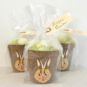 May include: Three small brown pots with bunny faces are filled with white Easter eggs and green grass. Each pot is wrapped in clear plastic and tied with a tag that says "Happy Easter".