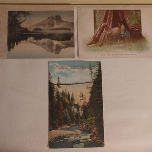 3 Antique British Columbia Canada Post Cards Circa Early 1900's  - 3 Victorian Era British Columbia Canada Post Cards - 1900's BC Postcards