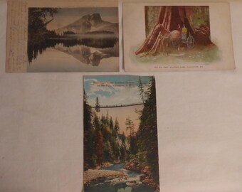 3 Antique British Columbia Canada Post Cards Circa Early 1900's  - 3 Victorian Era British Columbia Canada Post Cards - 1900's BC Postcards