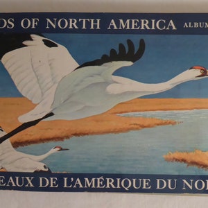 1962 Brooke Bond Canada Limited Red Rose Tea Complete Set of Birds of North America Album No. 4 Red Rose Collector Cards in Album