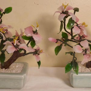 May include: Two decorative bonsai trees with pink flower blossoms and green leaves. The trees are in light green square pots filled with white pebbles. The branches are brown and the flowers have yellow stamens.