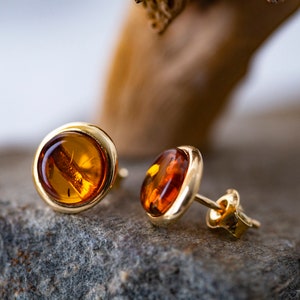 Amber & Gold. Contemporary earrings. Designer studs. Golden earrings. Perfect gift. Amber jewelry. Elegant studs. Artistic. Genuine amber.