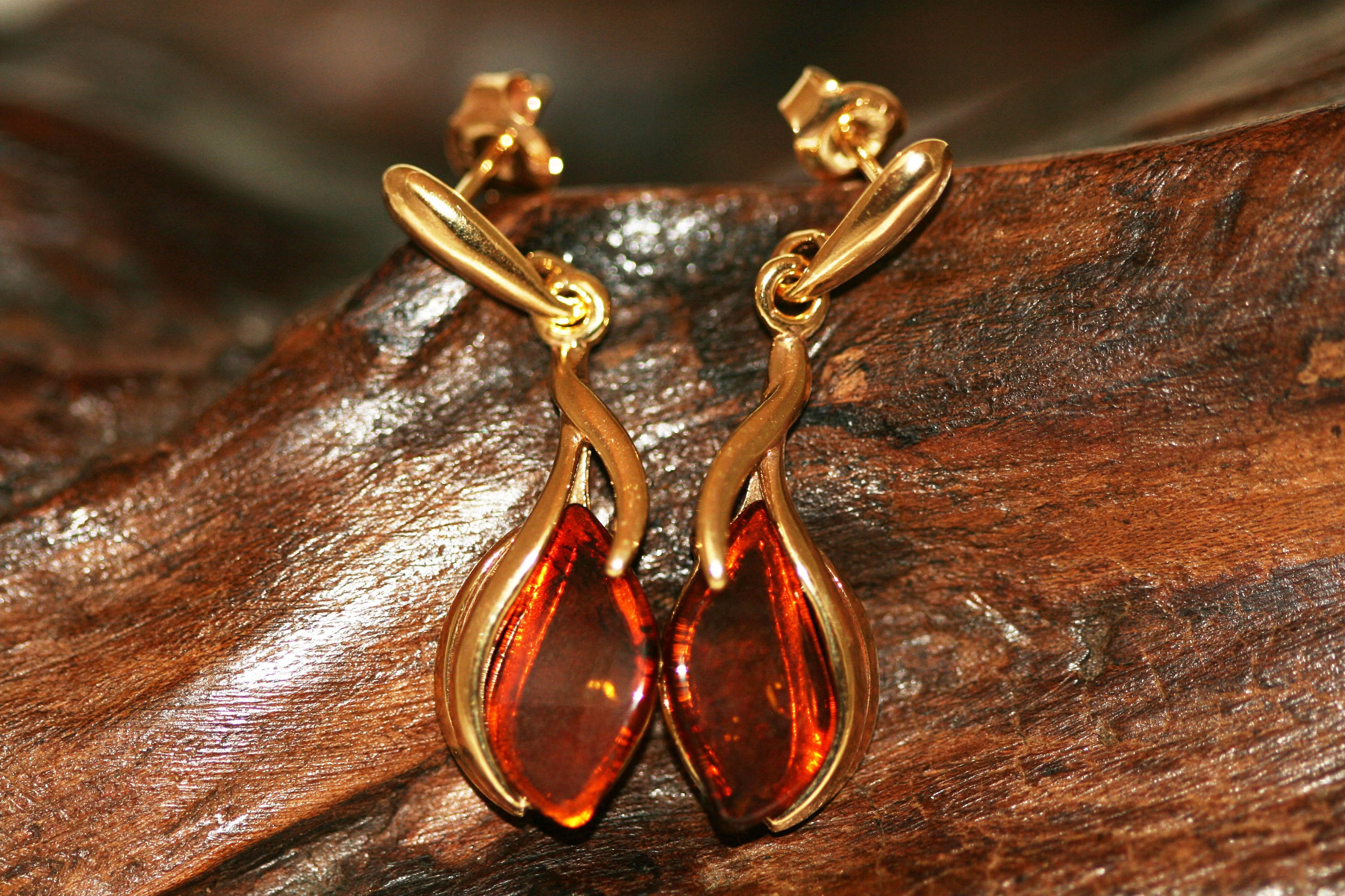Amber Gold. Baltic amber earrings gold earrings. Perfect gift