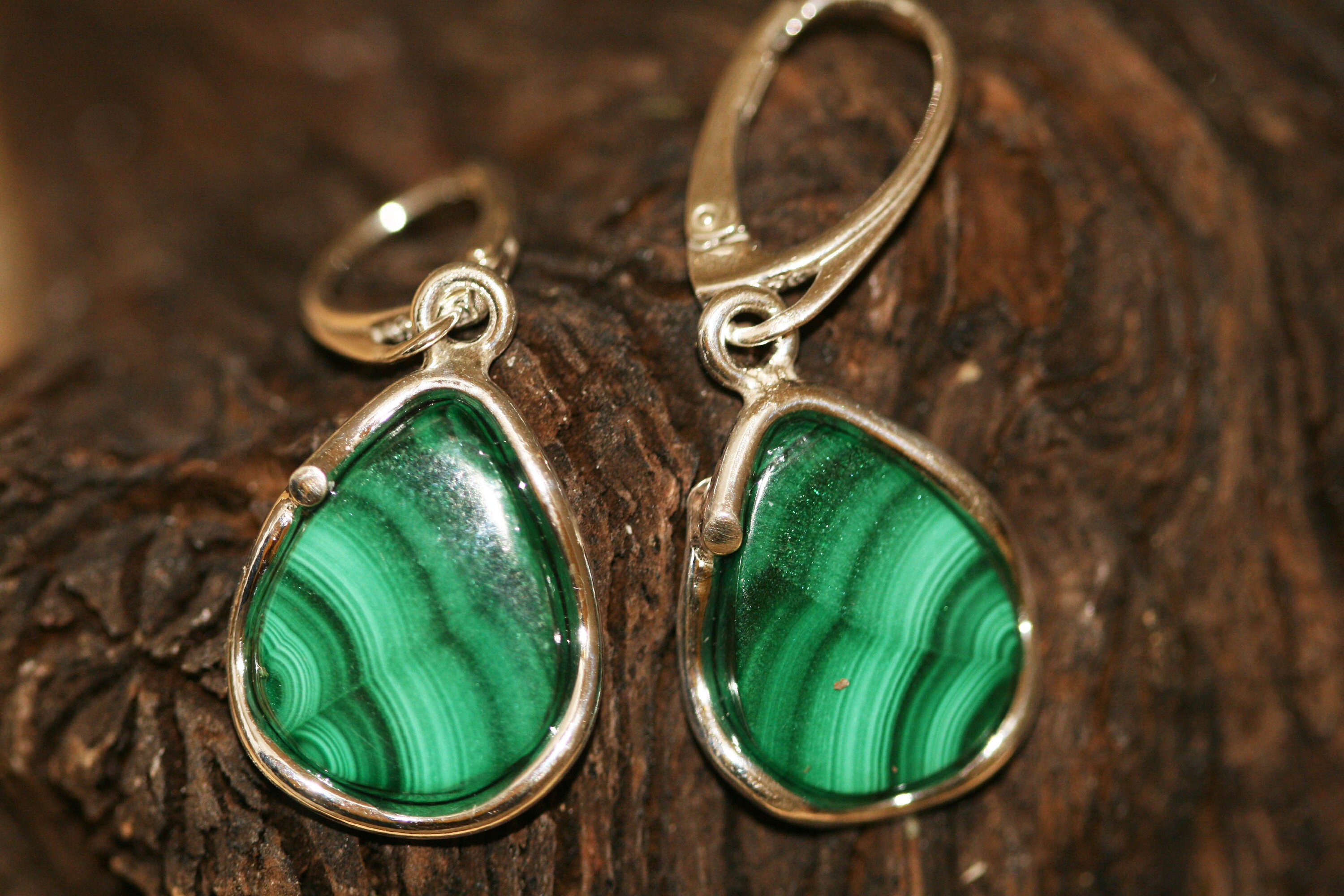 black snake hoop earrings
