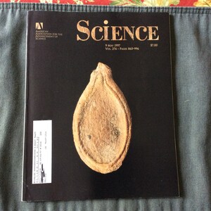 Science American Association for the Advancement of Science Magazine May 1999 Issue