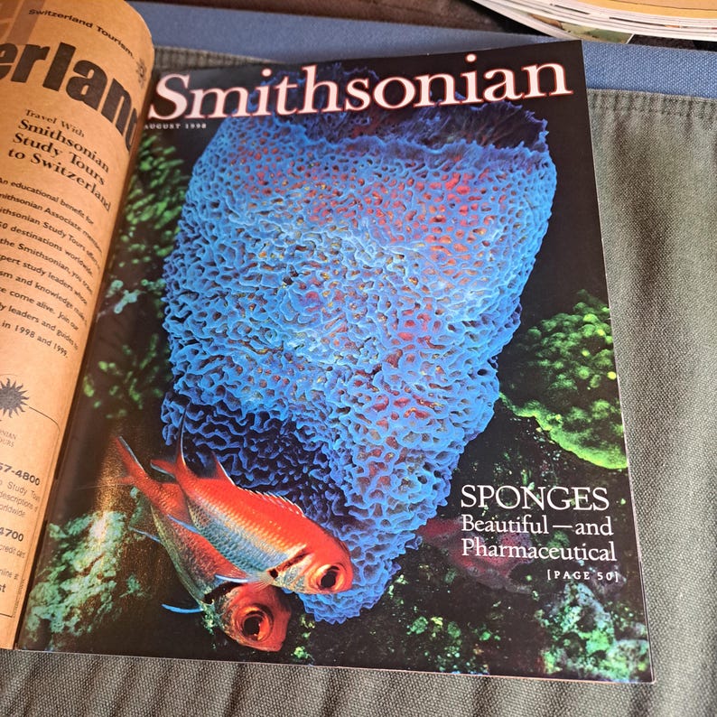 Smithsonian Magazine August 1998 Sponges Beautiful & Pharmaceutical - Etsy