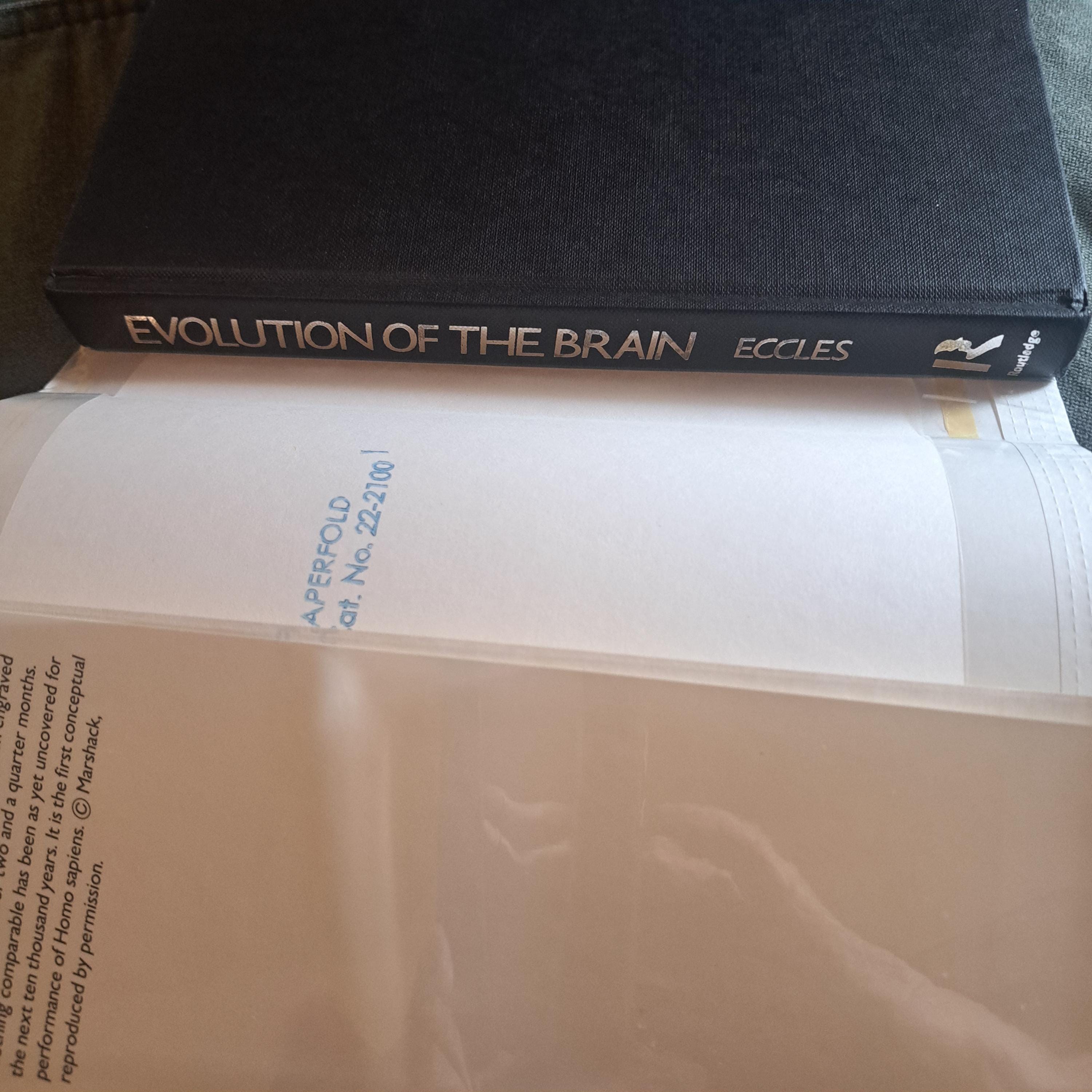 Evolution of the Brain: Creation of the Self Hardback, 1989 E - Etsy