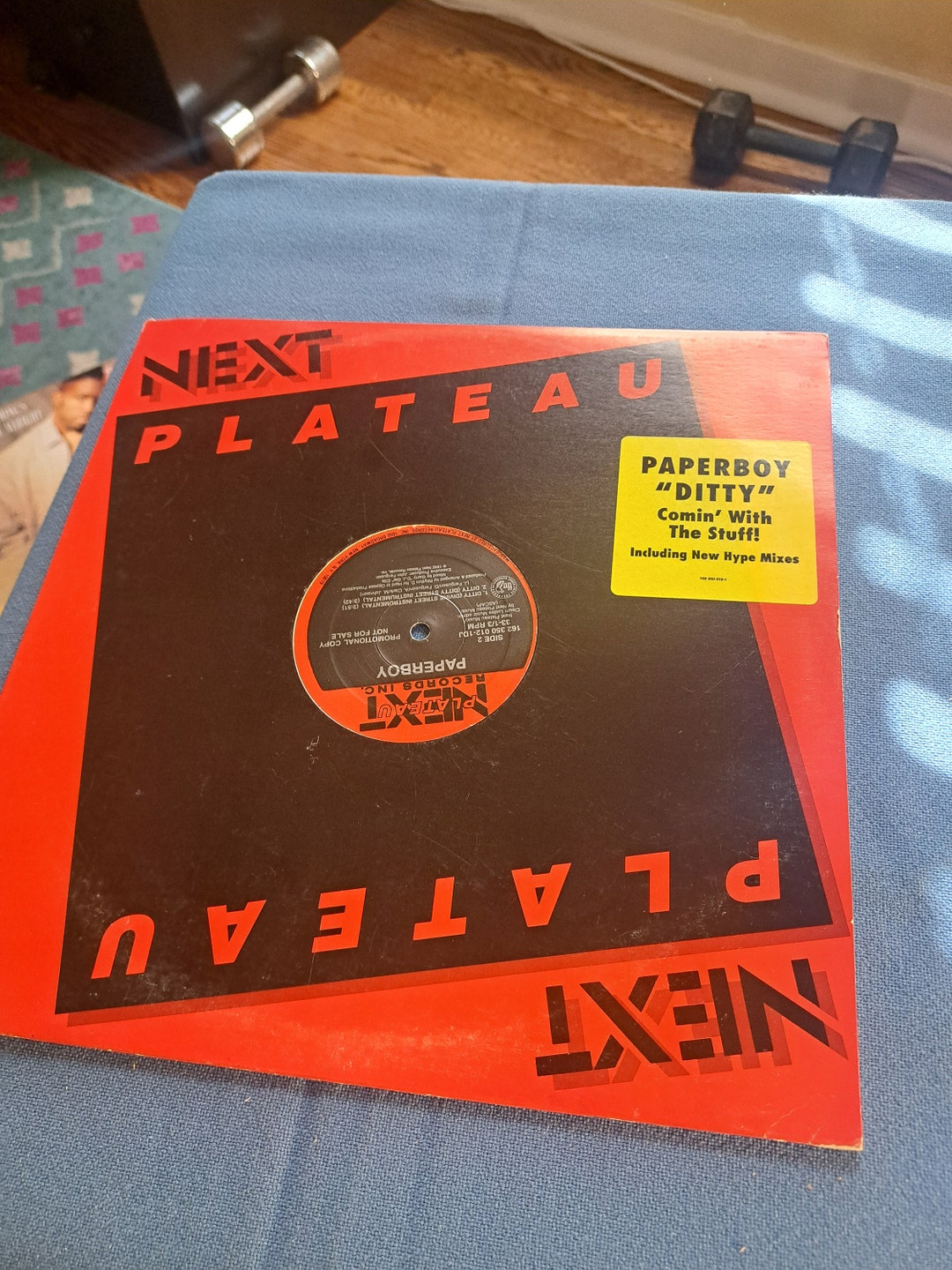 Next Plateau Paperboy Vinyl Album, 1992 Edition - Etsy
