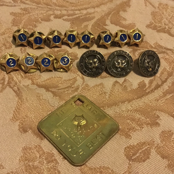 Boy Scout Pin Etsy
