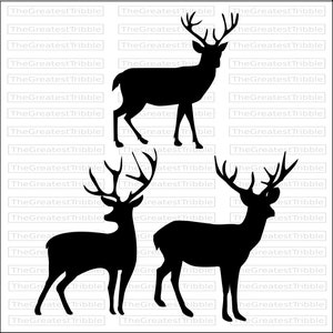 Deer Silhouette svg png jpg eps Vector Graphic Clip Art Cricut image 2