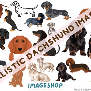 Delightful Dachshund ClipArt Collection, Sausage Dogs, Downloadable Digital Images, Printable images, Dog Lovers, Journals, Scrapbooks, cute