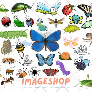 Insects Clip Art, Downloadable Digital Images, Butterflies Printable images, Graphic, craft, Printables, Journals, Scrapbooks, cute, sweet